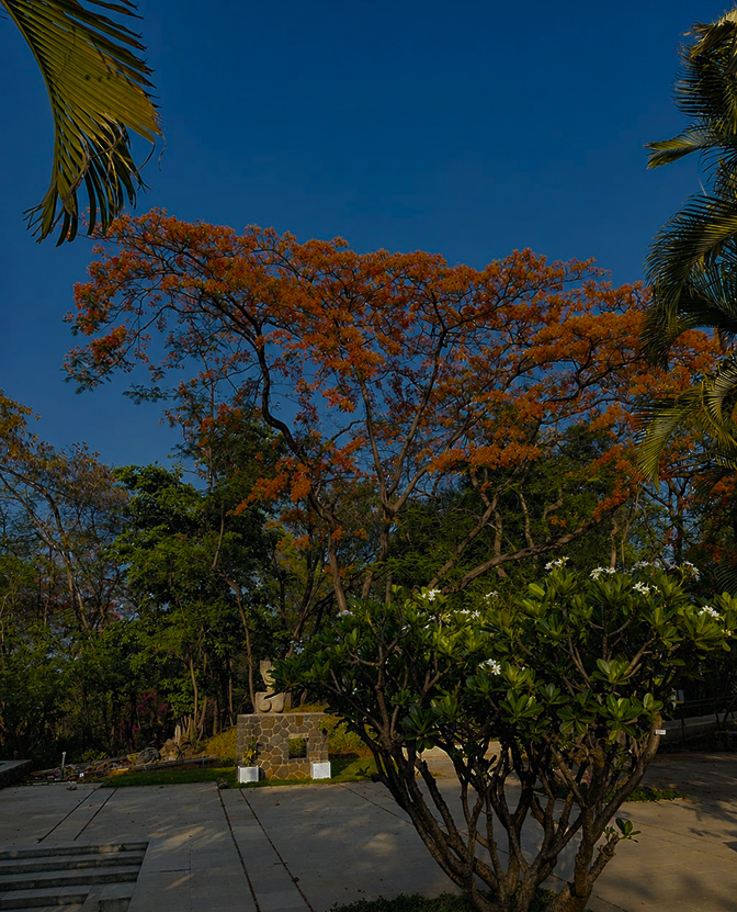 Nayanta campus